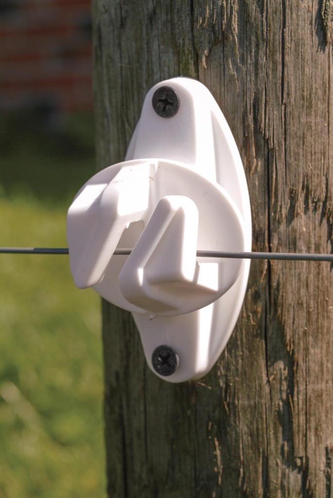 iccw-91578.jpg