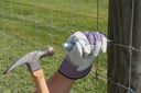 tdsd_inuse2011-97118.jpg