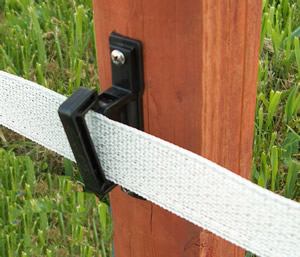 Universal Insulator